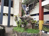 Parallel Program UBHINUS Nomor Home Photo 1